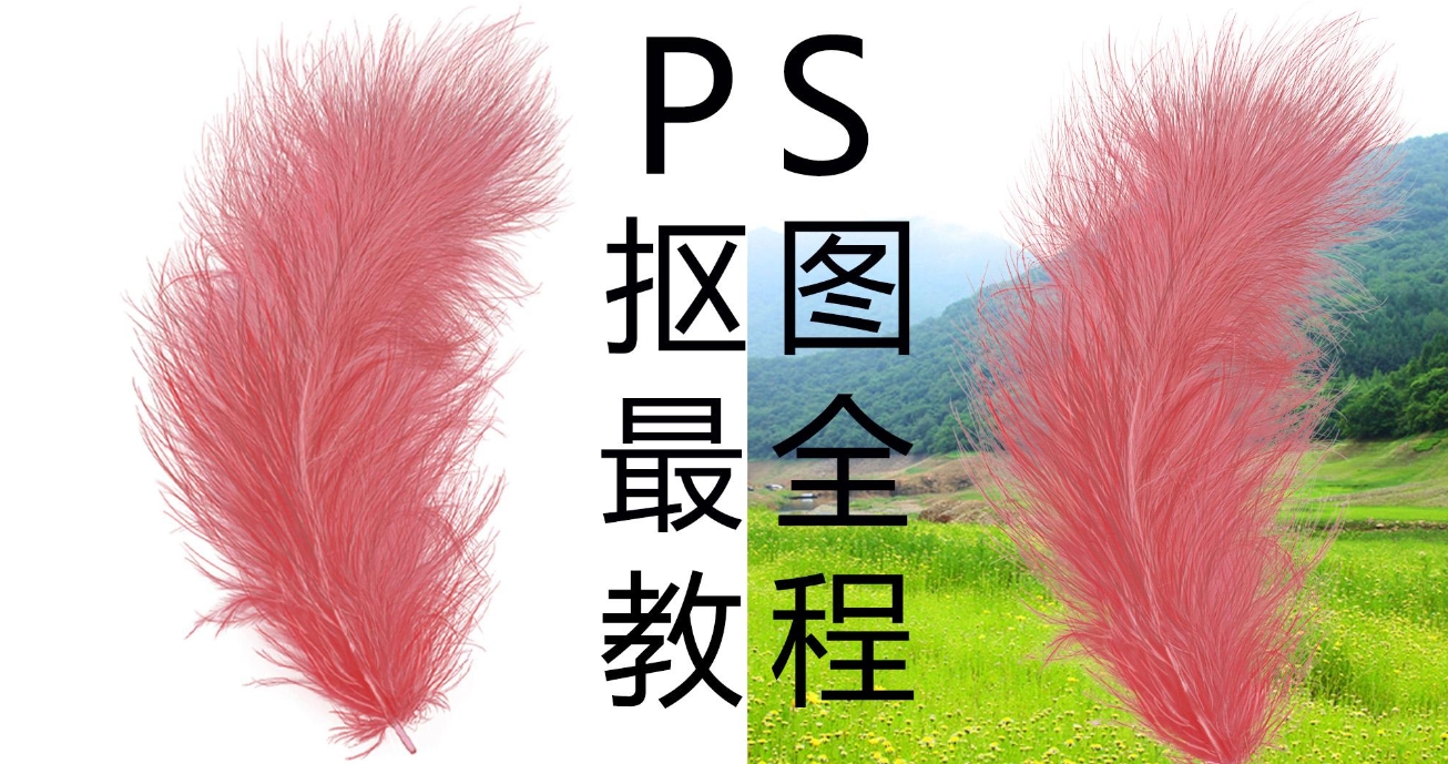 PS怎么摳圖,詳細(xì)教程教會你